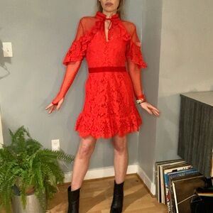 Elegant Red Lace Dress from Perseverence London